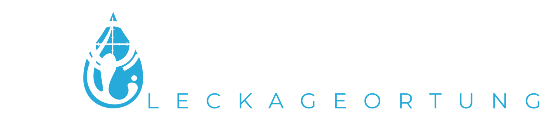 Tropfenjäger Leckortung