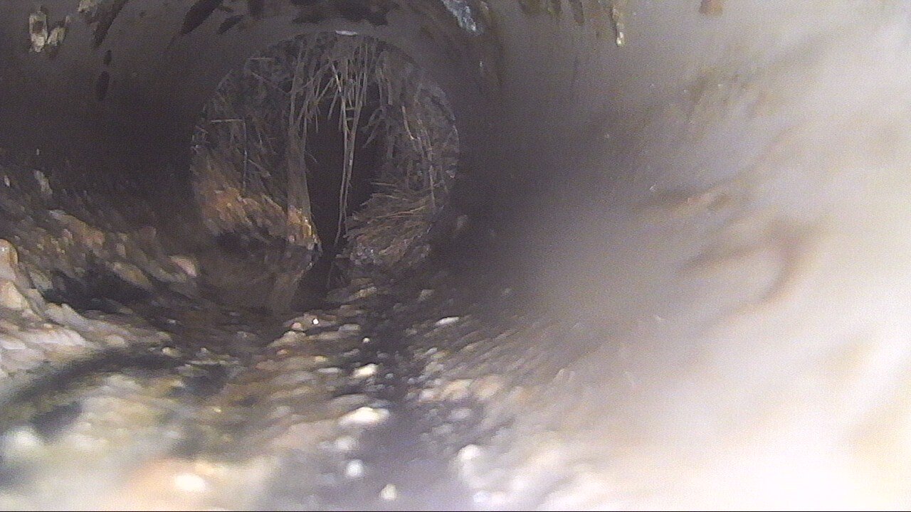 20250611 113419 00000006 00N