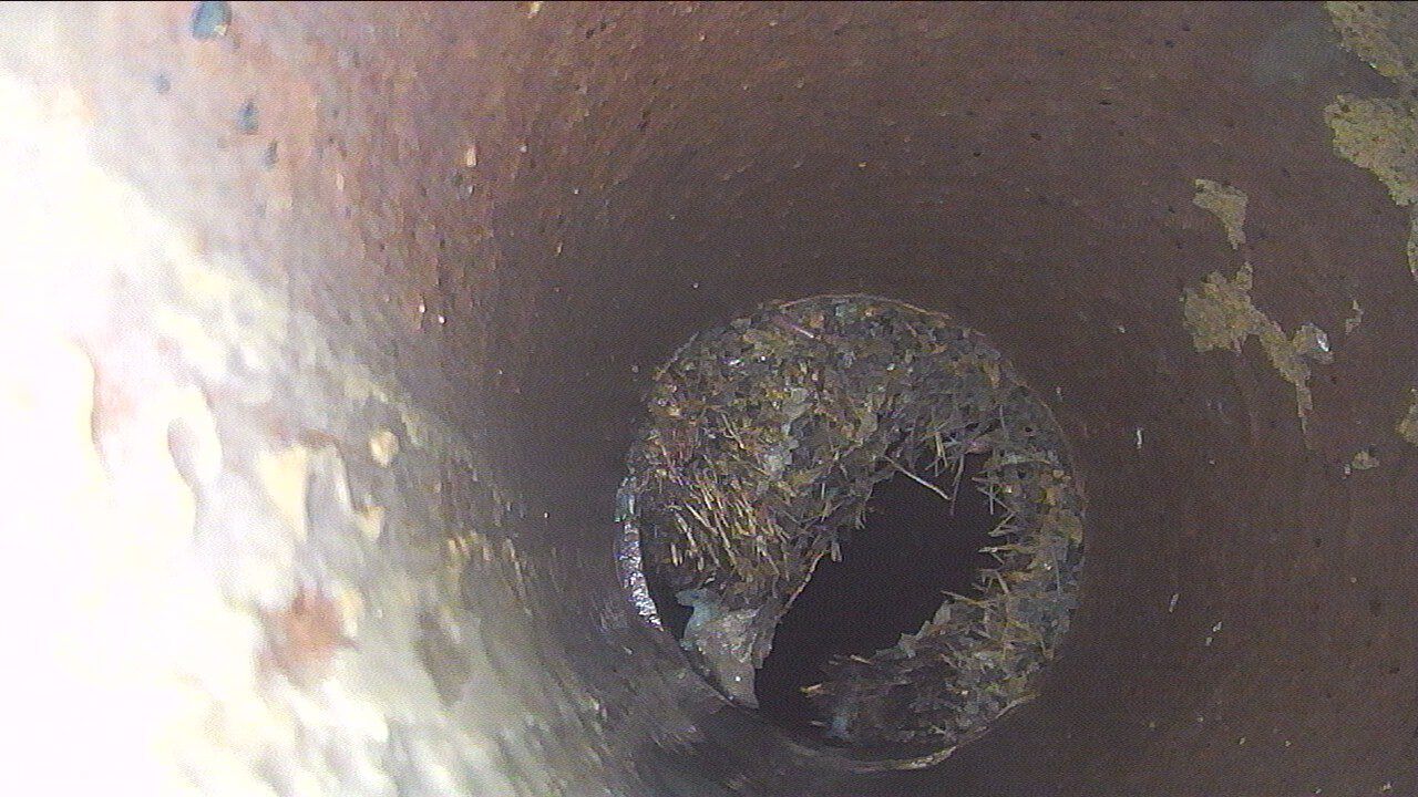 20250611 114159 00000012 00N rotated