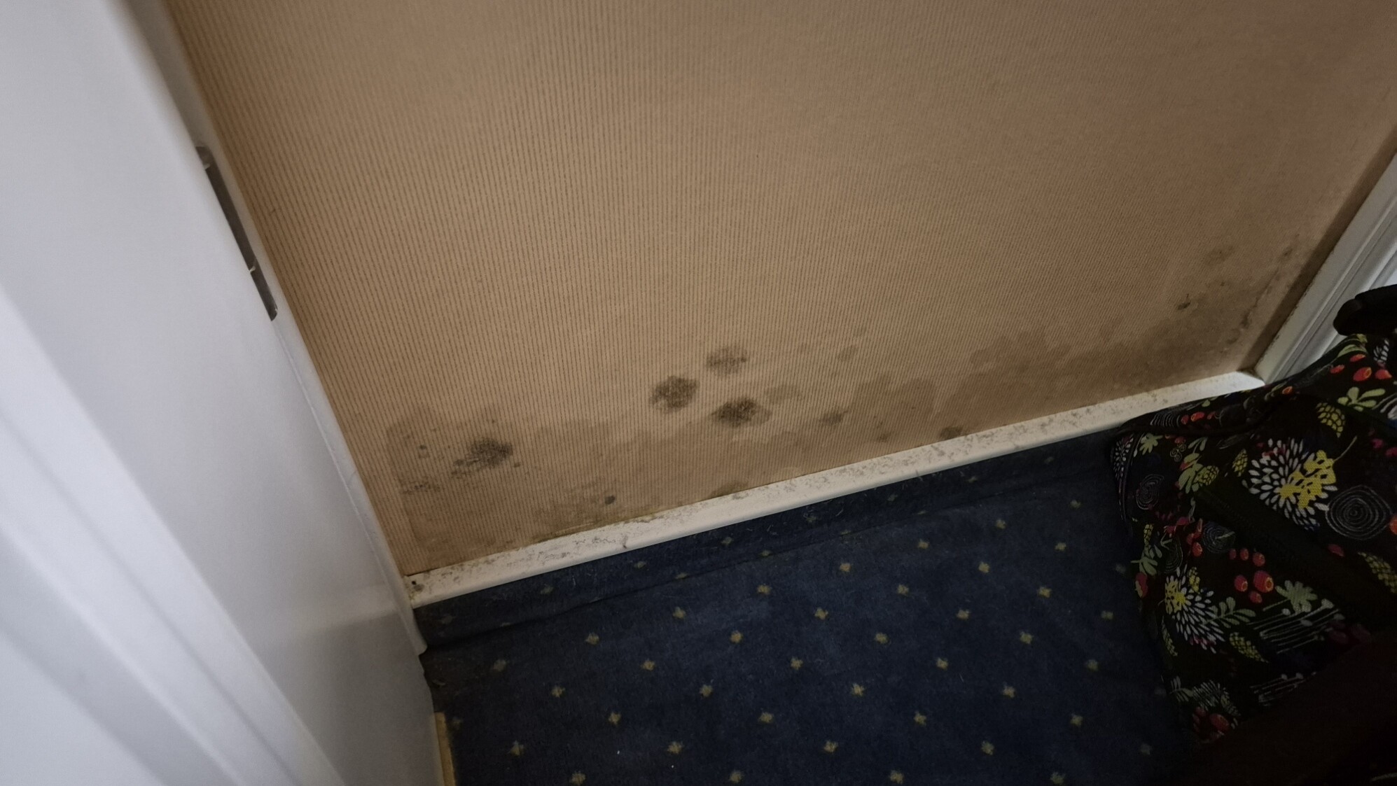 20250806_111015 20250806 111015