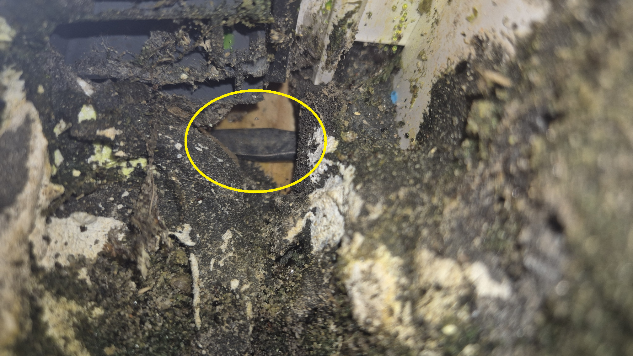 20250825_114340 20250825 114340