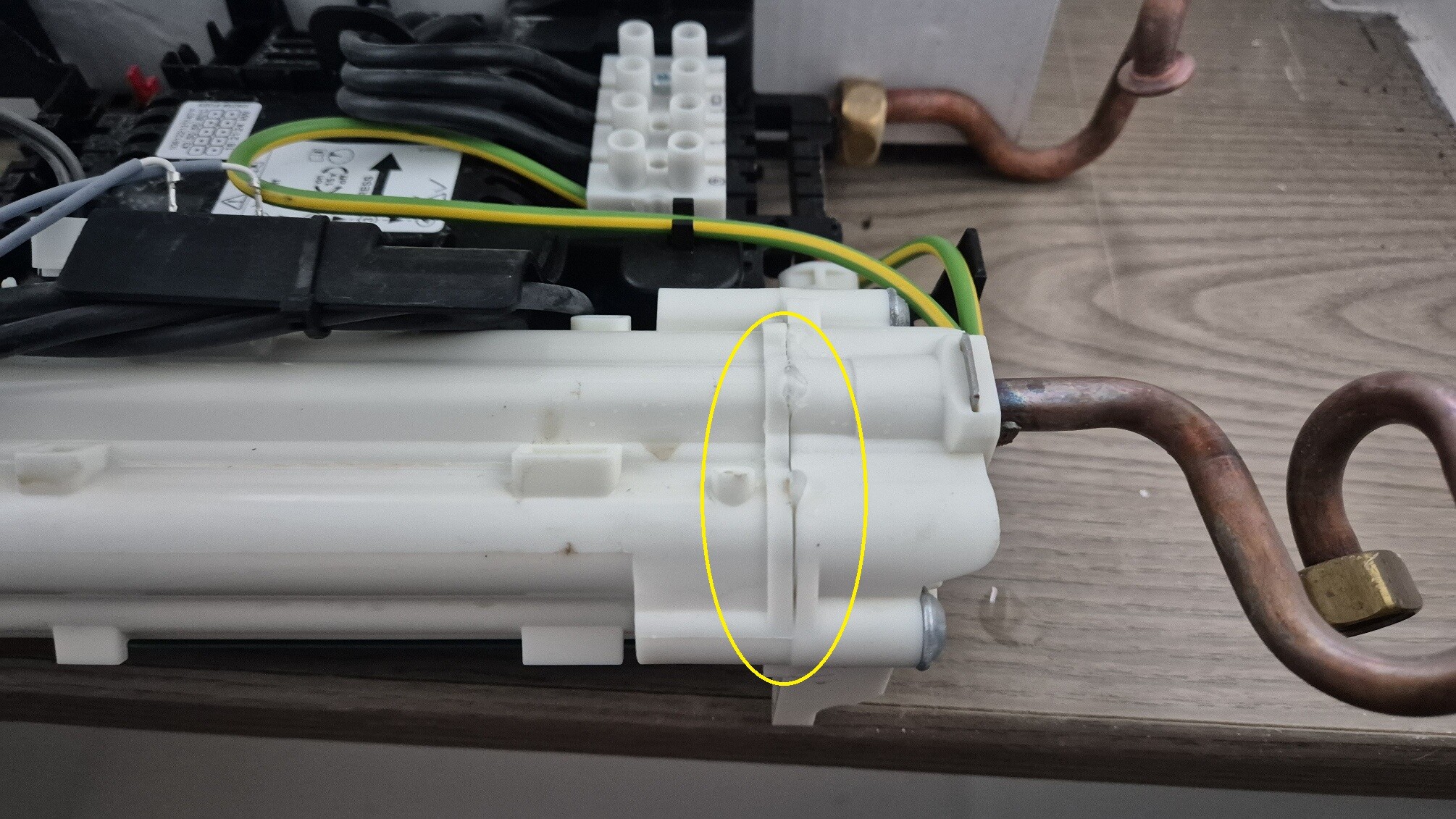 20260123_142448 20260123 142448