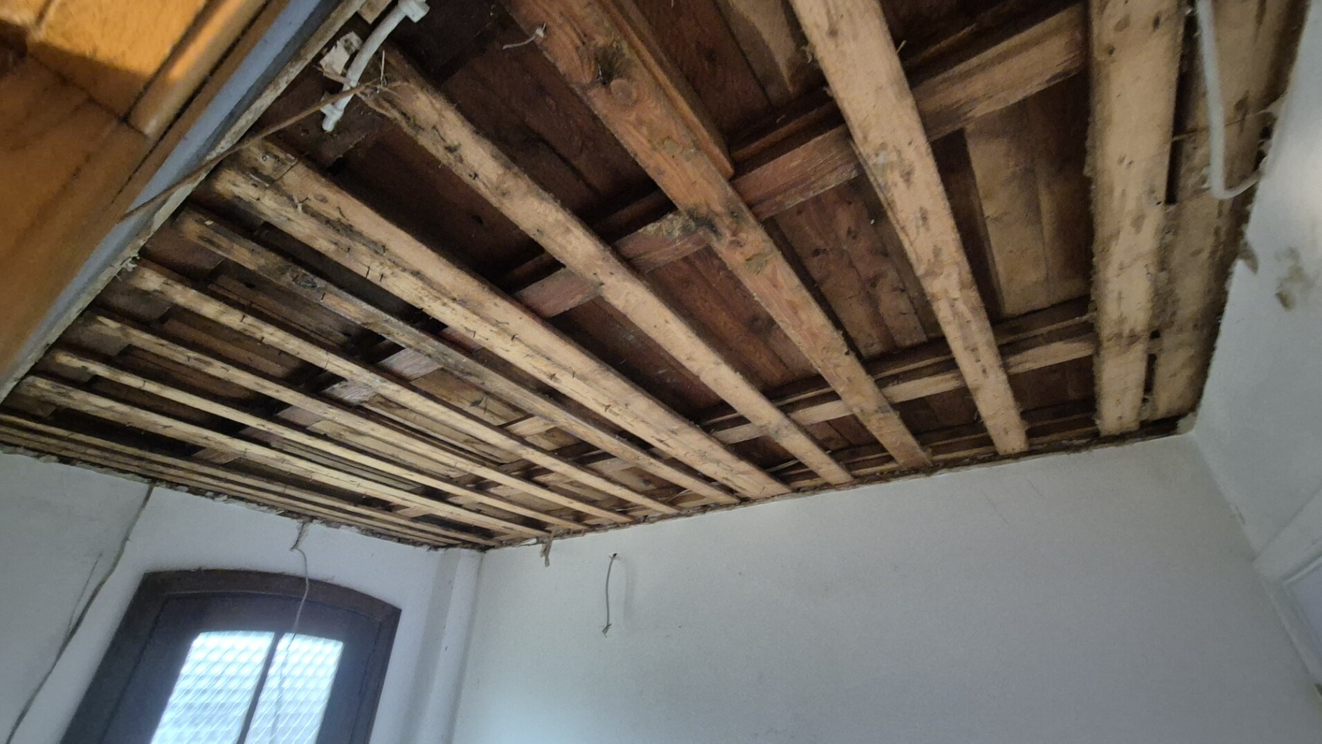 20260123_142843 20260123 142843