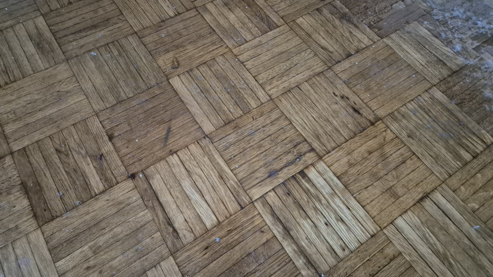 20260123_143346 20260123 143346