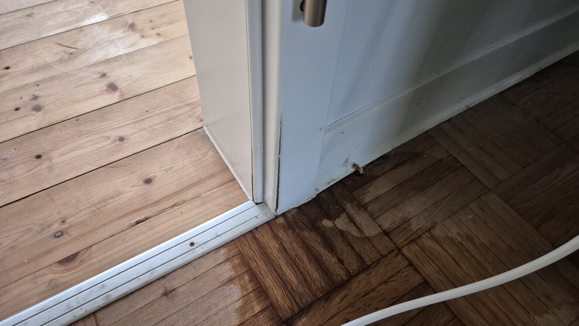 20260123_143728 20260123 143728