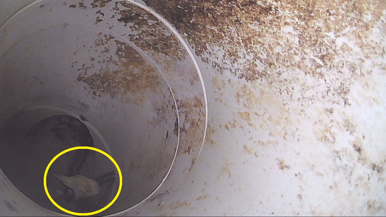 Schäden in Abwasserleitungen